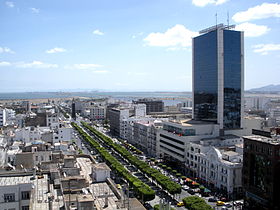 Tunis Flag